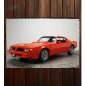 Металлическая табличка Pontiac Firebird Trans Am 455 RPO L75